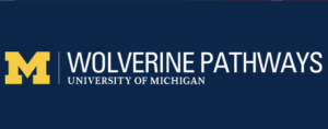 WP Logo